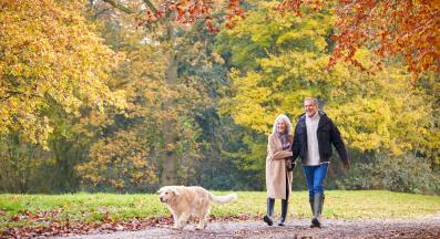 куче собственик