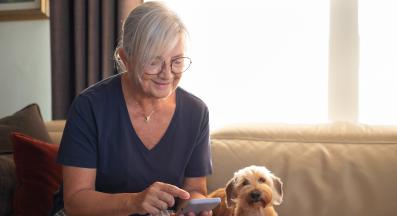 куче собственик