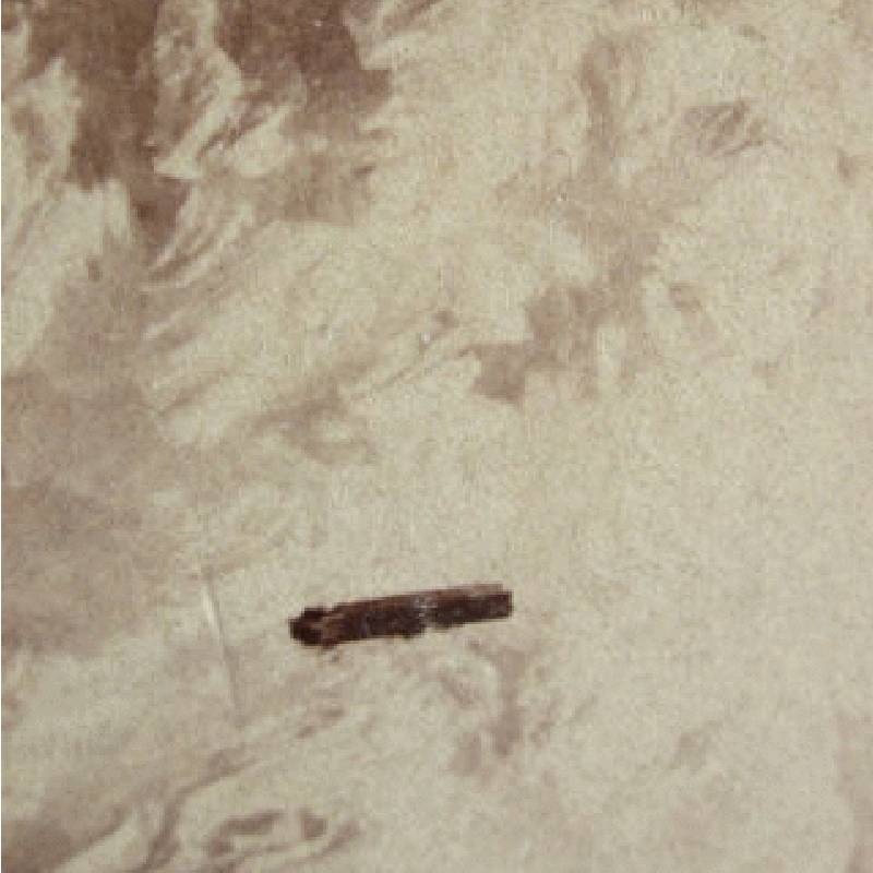 нашествие извънземни