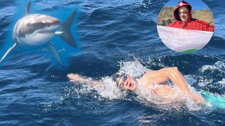 Цанко Цанков