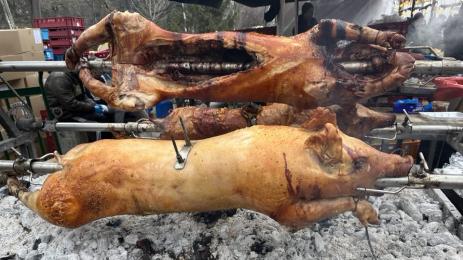 храна прасе