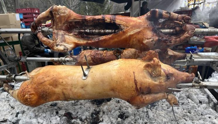 храна прасе - Агро Телеграф: Милиарди тонове храна отиват в кофата за боклук