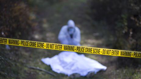 тяло в гората