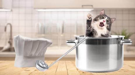 сготвена котка