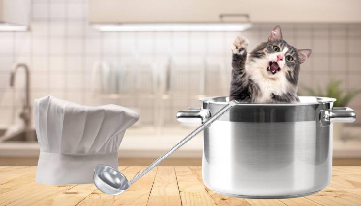 сготвена котка - ЗВЕРСТВО! Изверг 