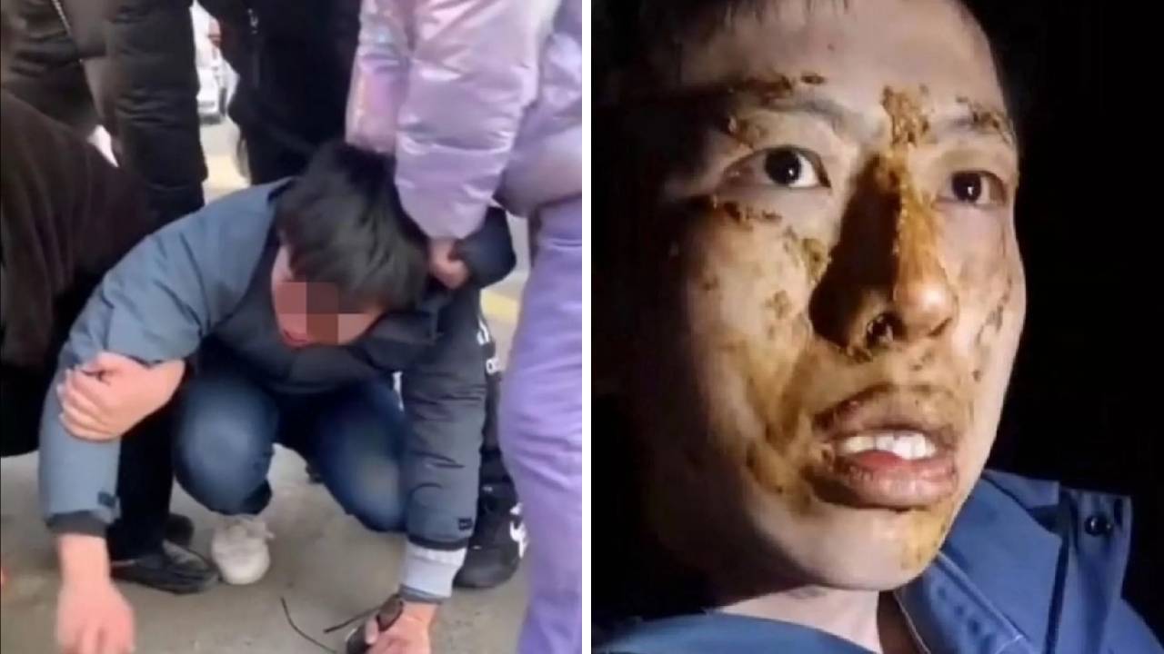 сготвена котка