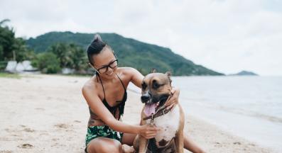 куче човек прилика