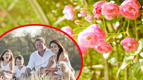 пролет семейство