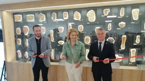 музея на медицината