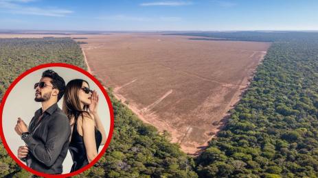 обезлезлесяване