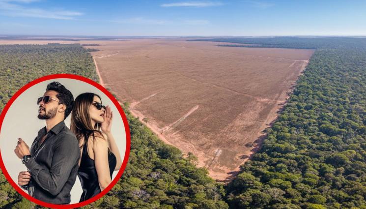 обезлезлесяване - МРЪСЕН ПАМУК: Две модни марки изсичат дивата Бразилия