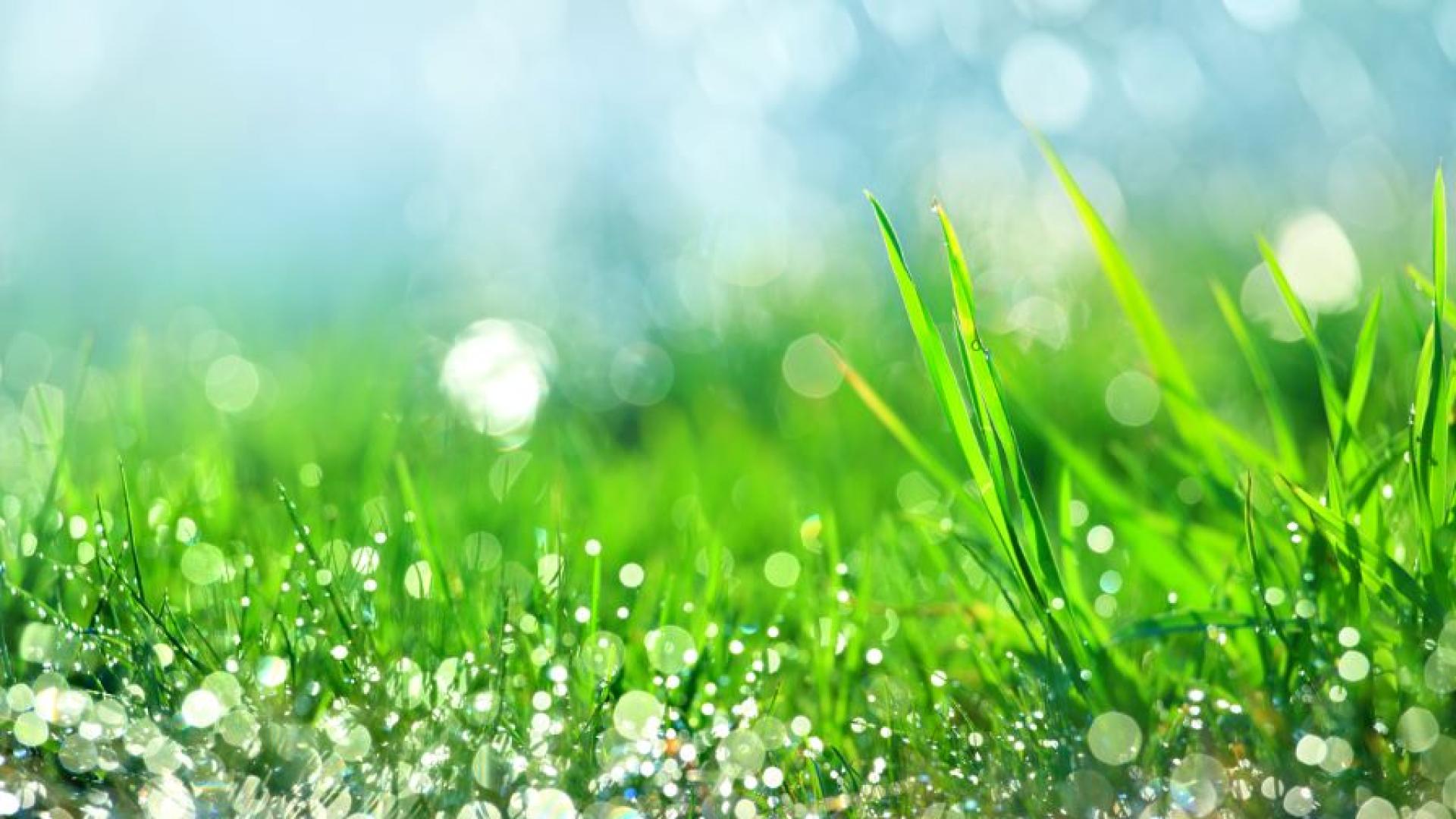 Впонеделник преди обяд ни очаква предимно слънчево време Около и