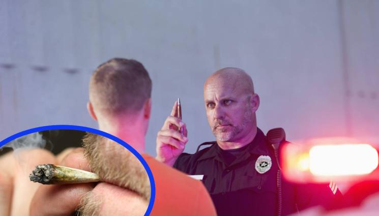 марихуана - Напук на Германия: Ще тестват пешеходци дали са пушили трева в страна от ЕС!