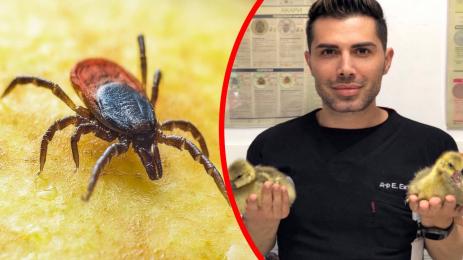 Евгени Евтимов