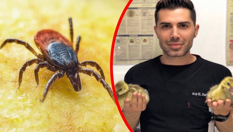 Евгени Евтимов - ВНИМАНИЕ: Бум на кърлежите!