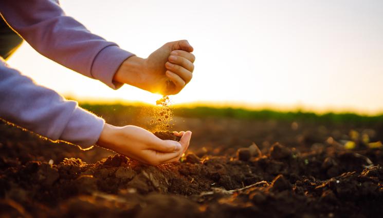 почва земя - Агро Телеграф: Учени с ново откритие: Калцият - оръжие срещу климатичните промени