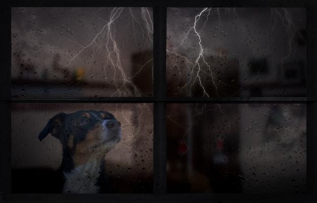 куче буря