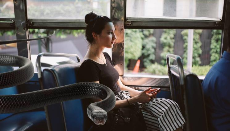 змия влак - УЖАС: Змия в купе спря влак