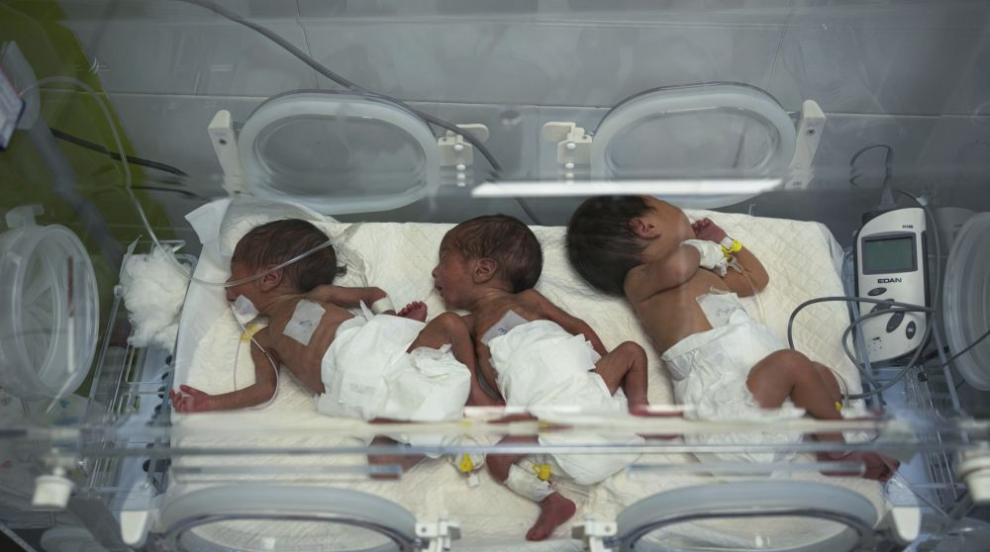 Хиляди замразени ембриони за инвитро процедури в Газа са унищожени от израелски удар