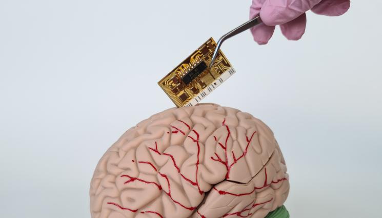 мозък гени - ЗЛАТНО ВРЕМЕ: Наследяваме навиците и пороците на донора