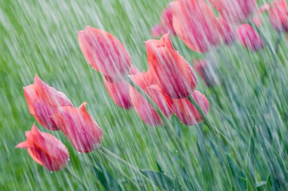 През нощта облачността ще е разкъсана, предимно висока. Ще духа