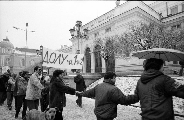 протест живкова конституция