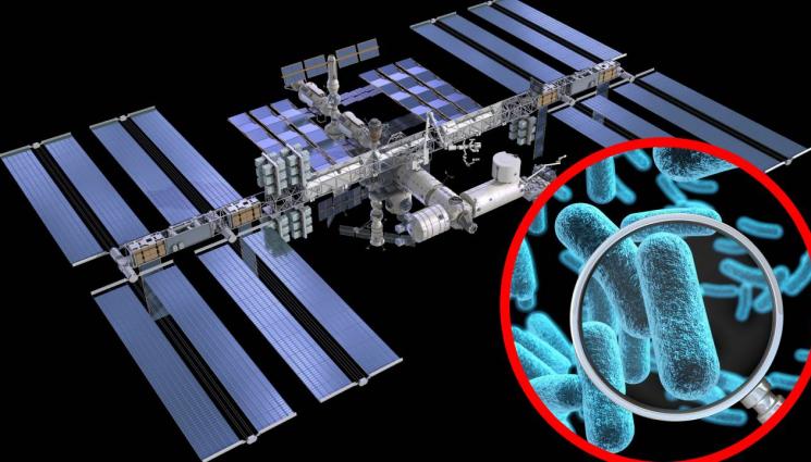 мкс - САМО ТОВА ЛИПСВАШЕ: Нелечима бактерия нападна Международната космическа станция!