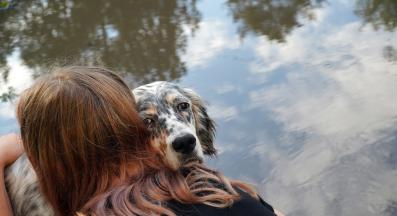 куче човек доверие