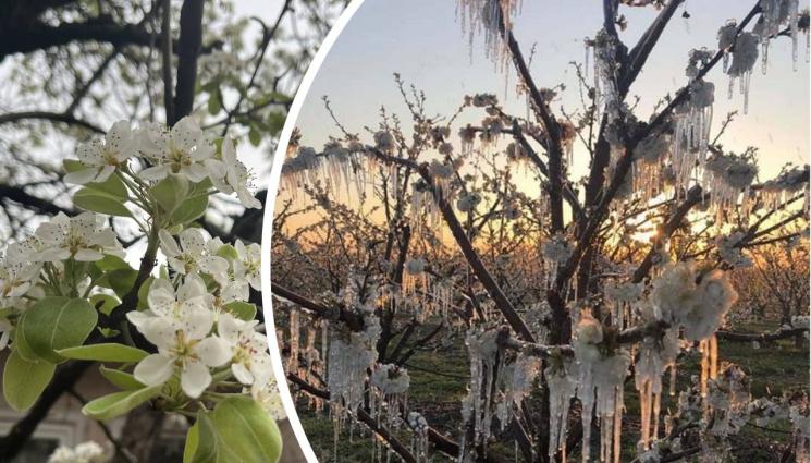 БНР - Агро Телеграф: Слана попари овошки