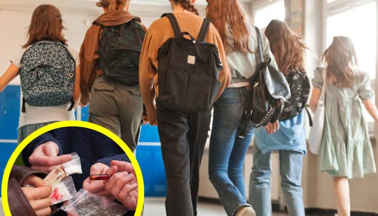 наркотици ученици - СТРАШНА СТАТИСТИКА: 25% от учениците са взимали наркотици!
