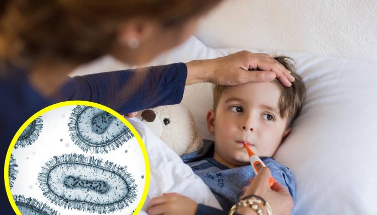 болест - Петата болест – няма лечение, няма ваксина!