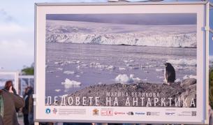 Изложба "Ледовете на Антарктика"