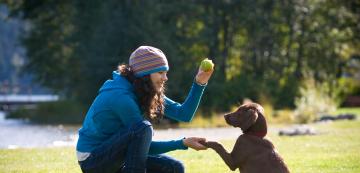 6 начина как да направите обучението по-лесно за вас и кучето ви