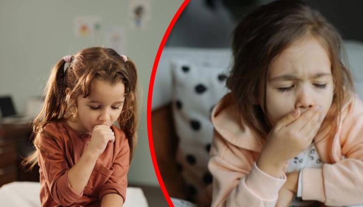 коклюш - ГОВОРЯТ ЕКСПЕРТИТЕ: Проф. Кантарджиев каза кога стихва магарешката кашлица