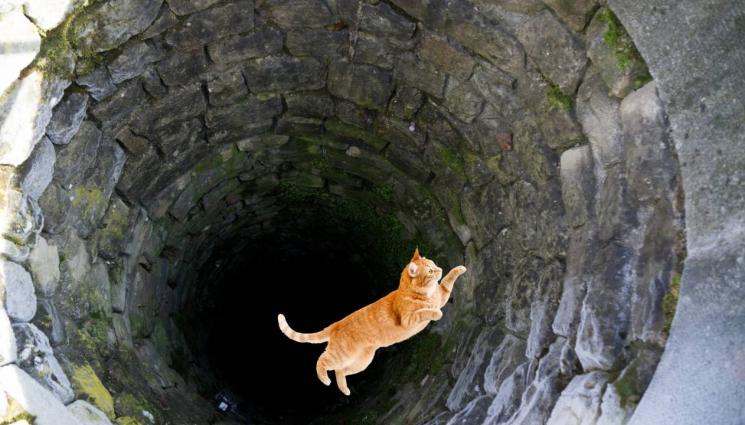 котка - ПЪЛЕН АБСУРД: Петима души загинаха, за да спасят котка от кладенец!