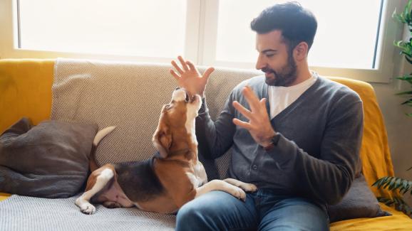 Техники, които ще подобрят комуникацията с кучето ви