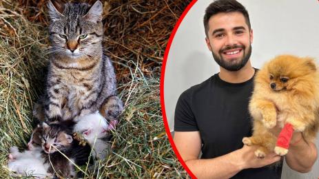 Др Йоан Славчев