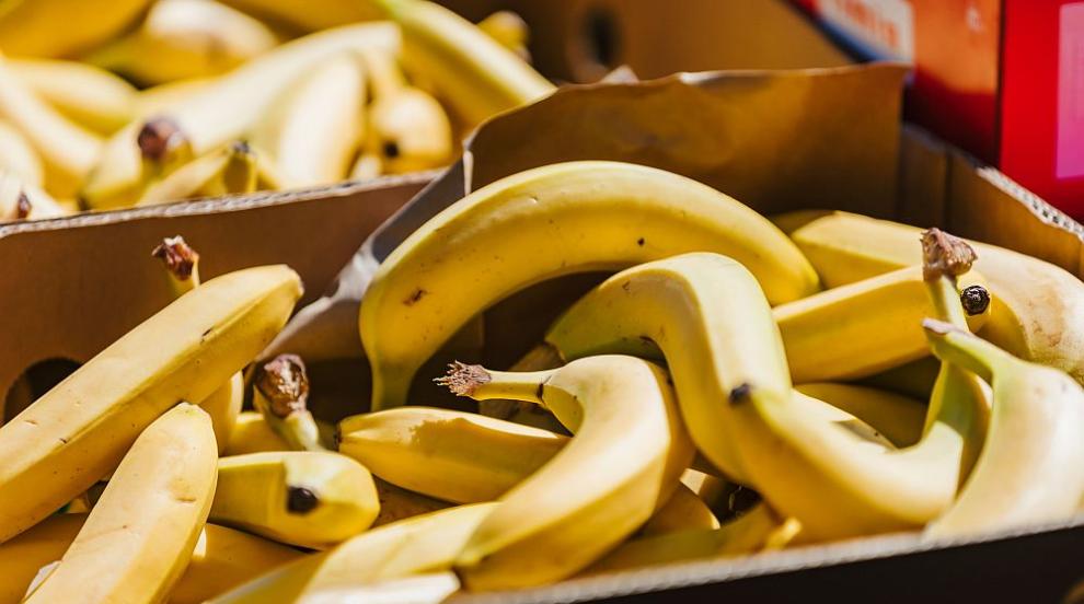 Над 200 кг е кокаинът, открит в щайги с банани в Германия