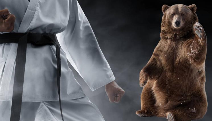 мечка - НИЩО НЕ МОЖЕ ДА МУ СЕ ОПЪЛЧИ: Карате майстор наби мечка