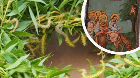 върбов венец