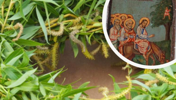 върбов венец - КАБАЛИСТЪТ ЕЛИ МАРИНОВА: Върбовият венец крие неподозирана сила!