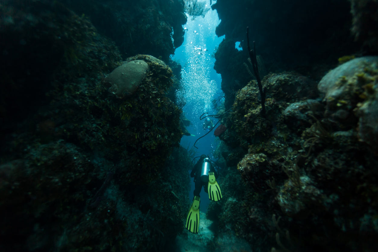 Защо Голямата синя дупка е толкова популярна сред туристите? Една от причините е нейната уникална красота и богатство на морски живот. В дупката може да се видят различни видове корали, риби, акули и други морски същества. Това я прави привлекателно място за гмуркане и подводни екскурзии.