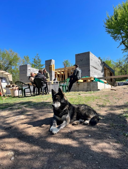 сламени панели