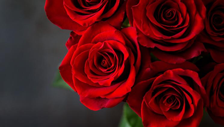 рози - С кого спипаха Ергенът? (СНИМКА)