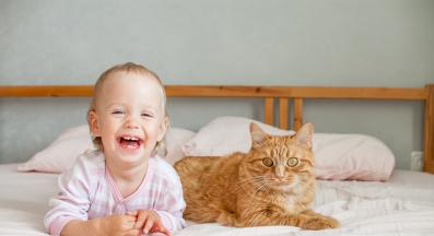 Възможно ли е котките да разболеят бебетата и как да намалим риска?