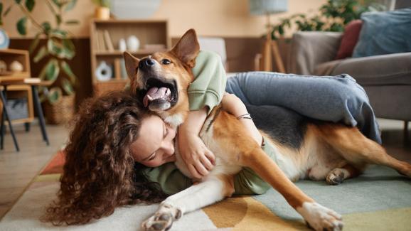 5 забавни дейности на закрито за кучета, които не понасят студа