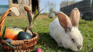 Великденски яйца и забавление за животните в бургаския зоопарк Те