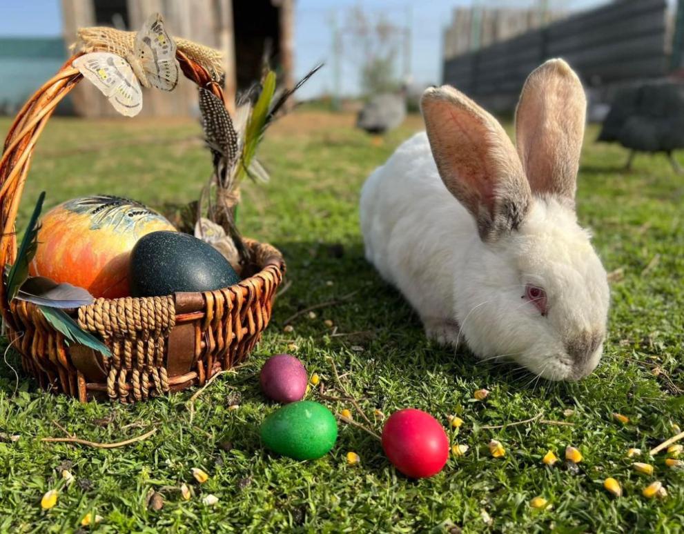 Великденски яйца и забавление за животните в бургаския зоопарк. Те