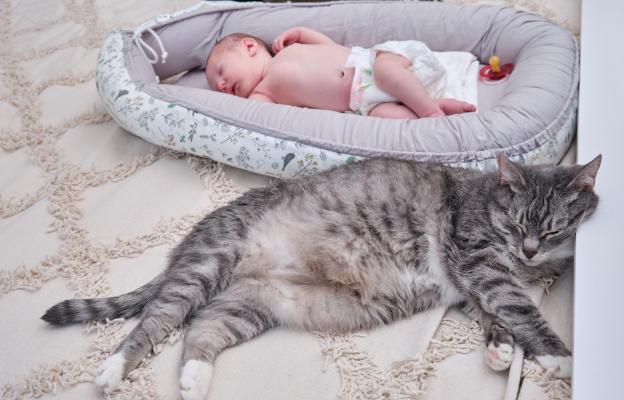 котка и бебе