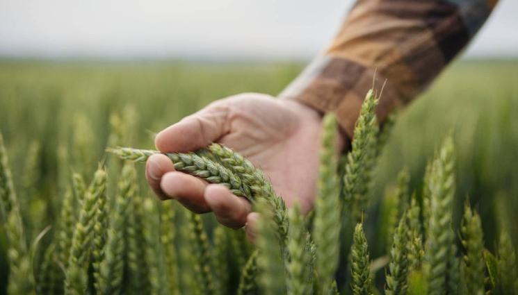 фермер аграр агро